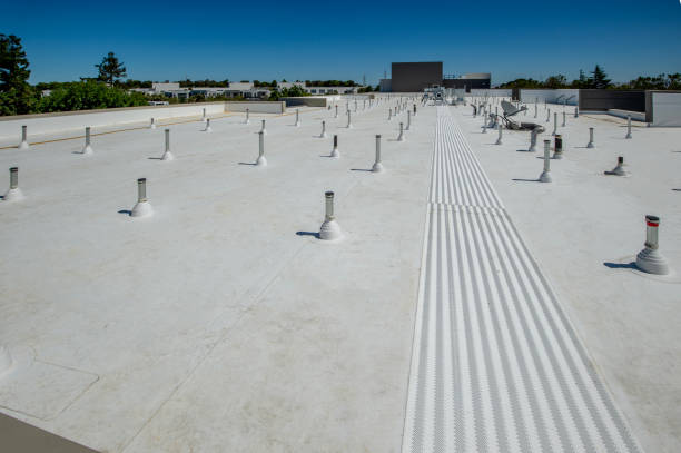 Best Skylight Installation and Repair  in Bicknell, IN